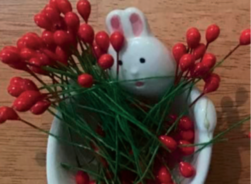 Cranberry Bunny